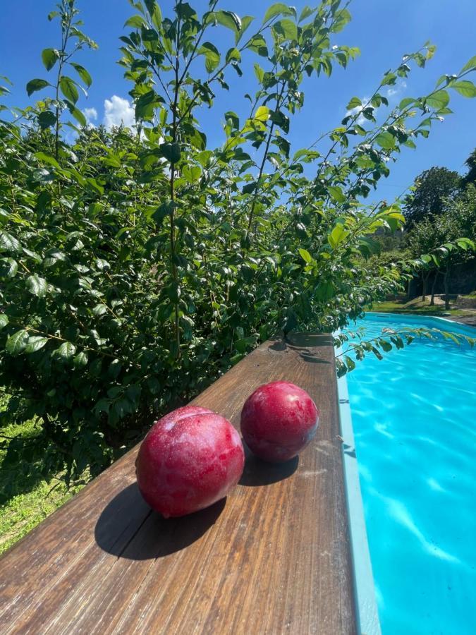Quinta Das Ameixas - Country & Nature Арока Экстерьер фото