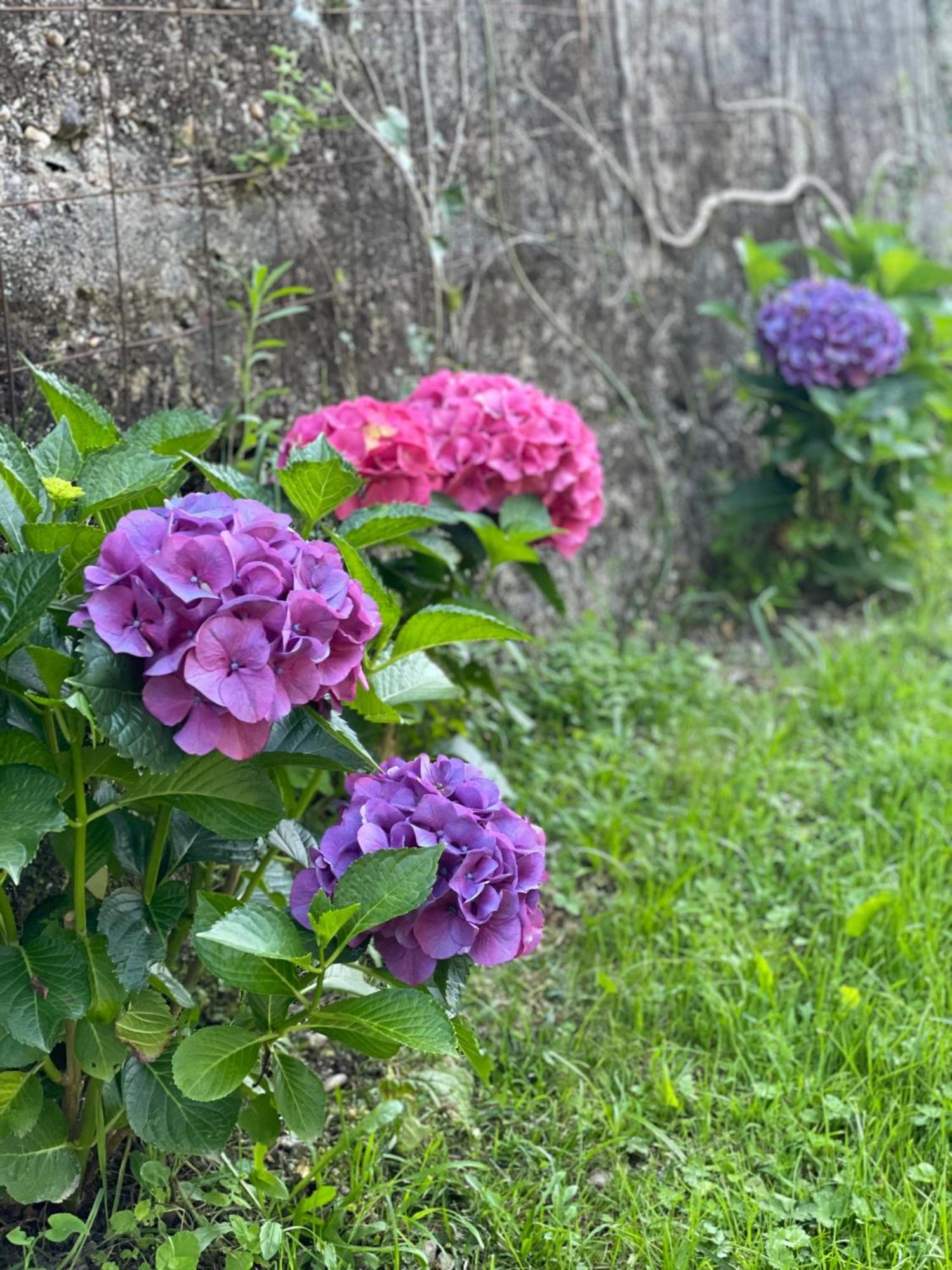 Quinta Das Ameixas - Country & Nature Арока Экстерьер фото
