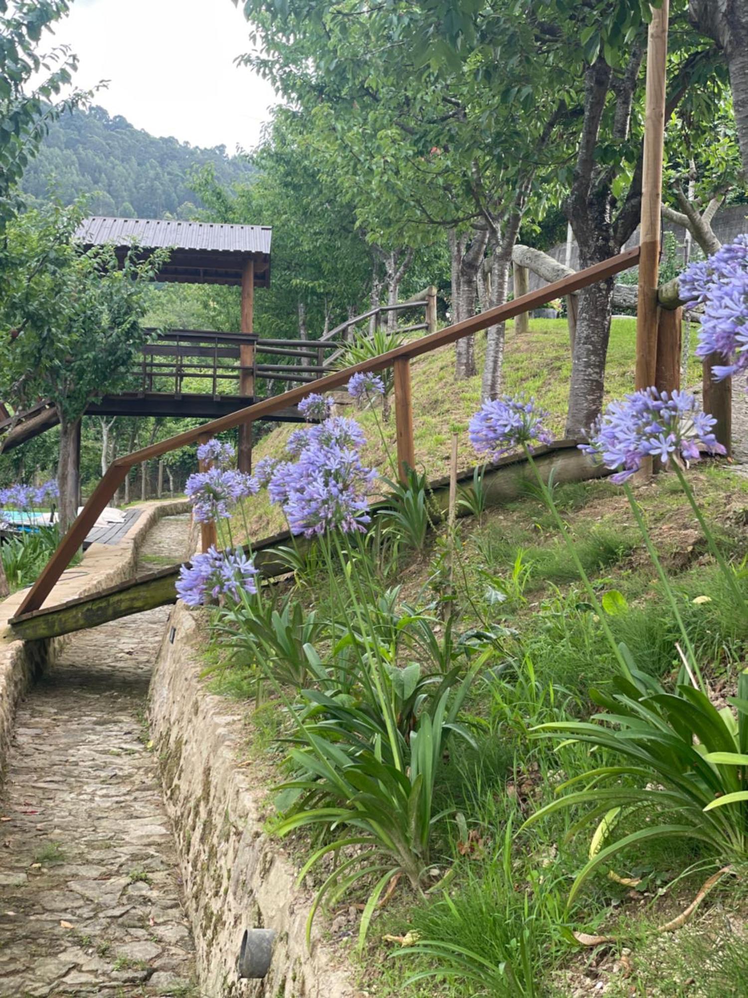 Quinta Das Ameixas - Country & Nature Арока Экстерьер фото